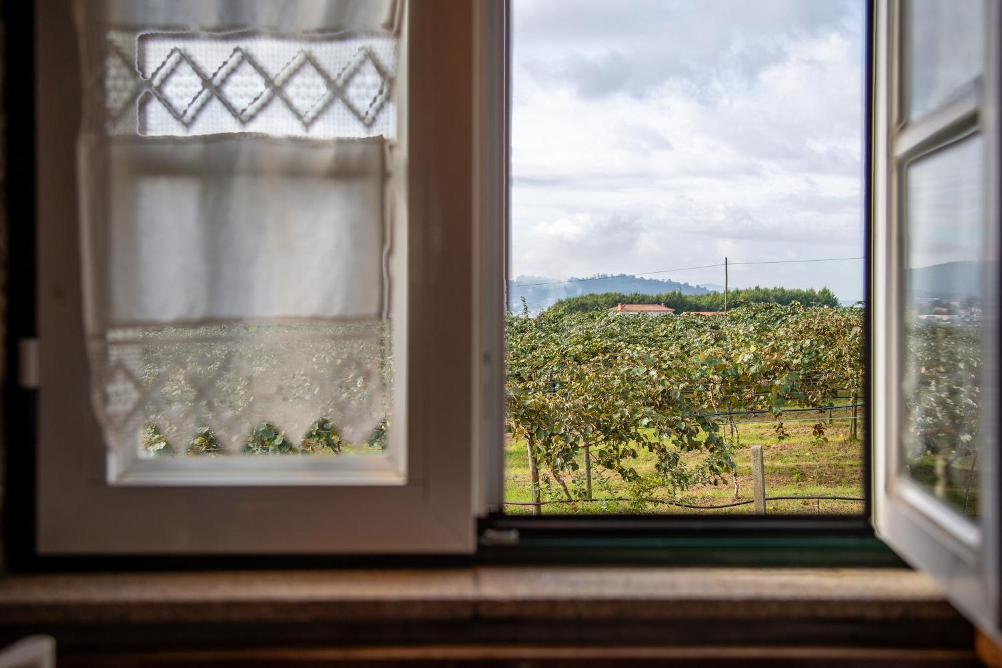 Quinta Do Carvalhal Alojamento, Penafiel Irivo Екстер'єр фото